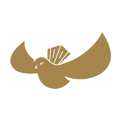 Spero CBD logo