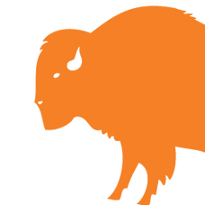 Native American Natural Foods LLC logo