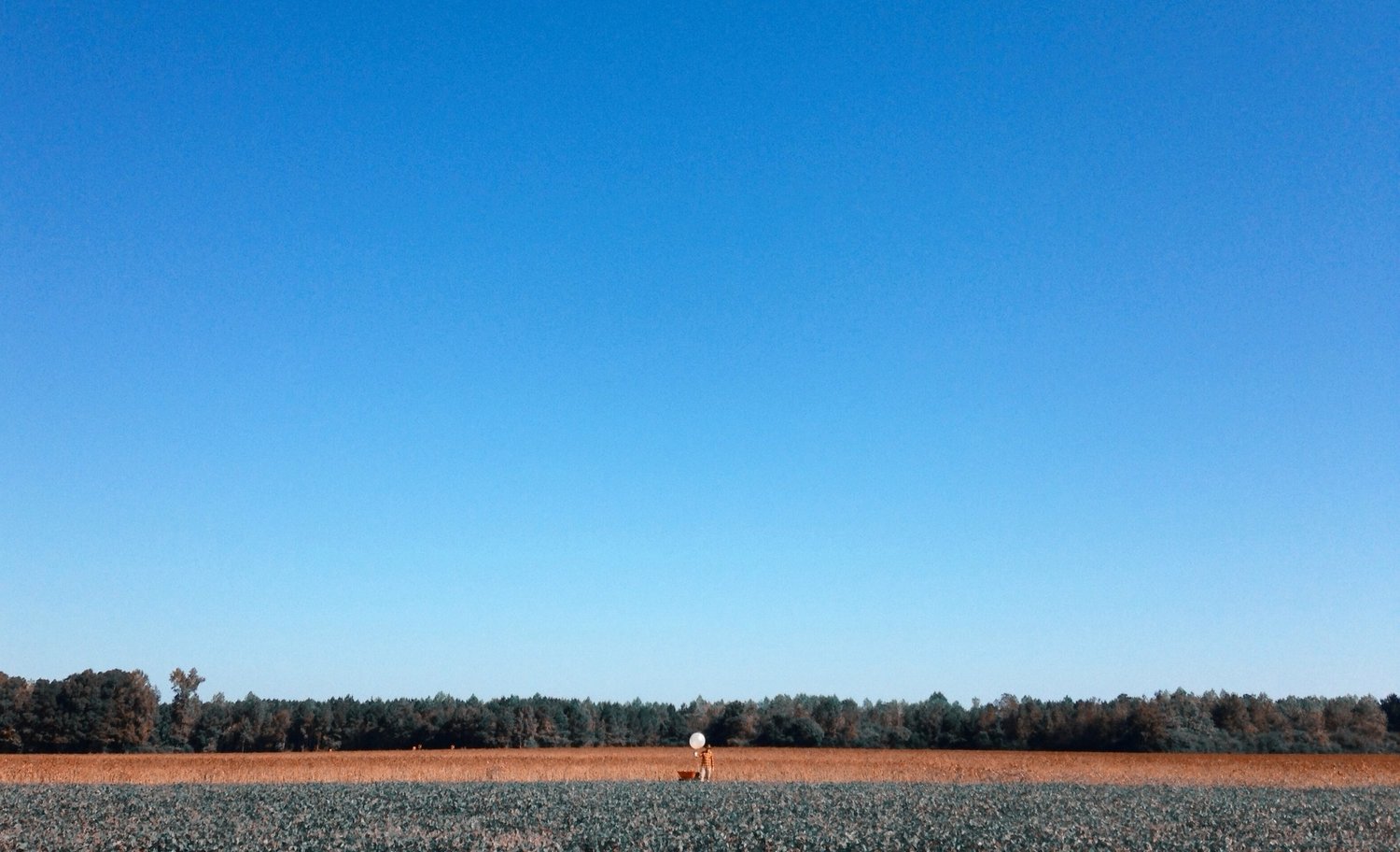 LONG DRIVE TO YADKIN logo