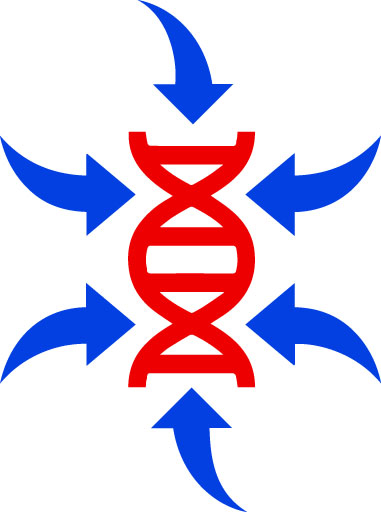 IPD Products, Inc. logo