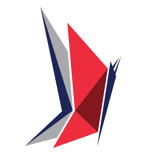 Defynance Holdings, Inc. logo