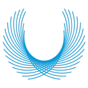 CEO SPACE INTERNATIONAL INC. logo