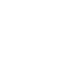 Trade Algo logo