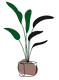 Emerald City Plant Shop logo