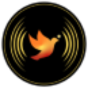 SOAR Ministries logo