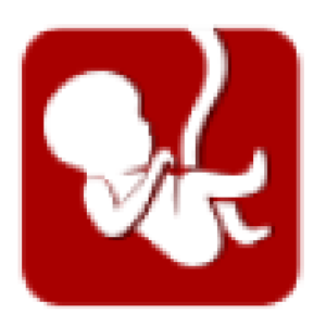 Amnion Life logo