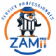 ZAMii Clean USA Carpet & Upholstery Cleaning Corp. logo
