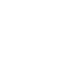 Basement Sports logo