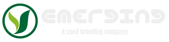 EMERGING HOLDINGS, INC. logo