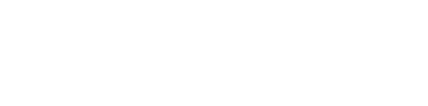 newBin logo