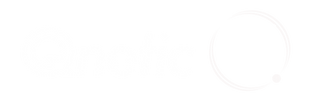 Qnetic Corporation logo