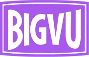 BIGVU INC logo