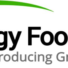 Synergy Global Foods logo