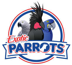 Exotic Parrots logo