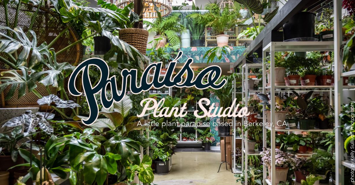 Paraiso Plant Studio LLC logo