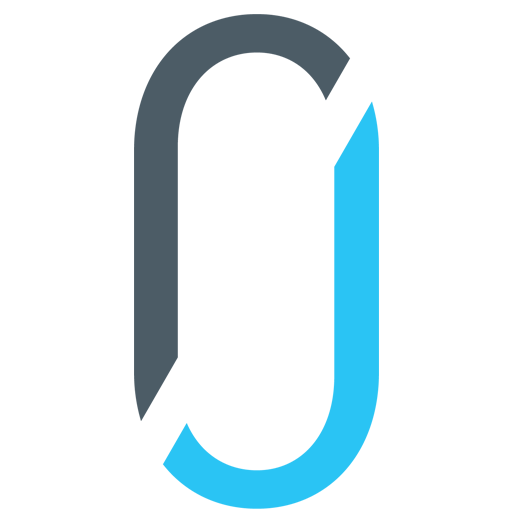 RYCA INTERNATIONAL logo