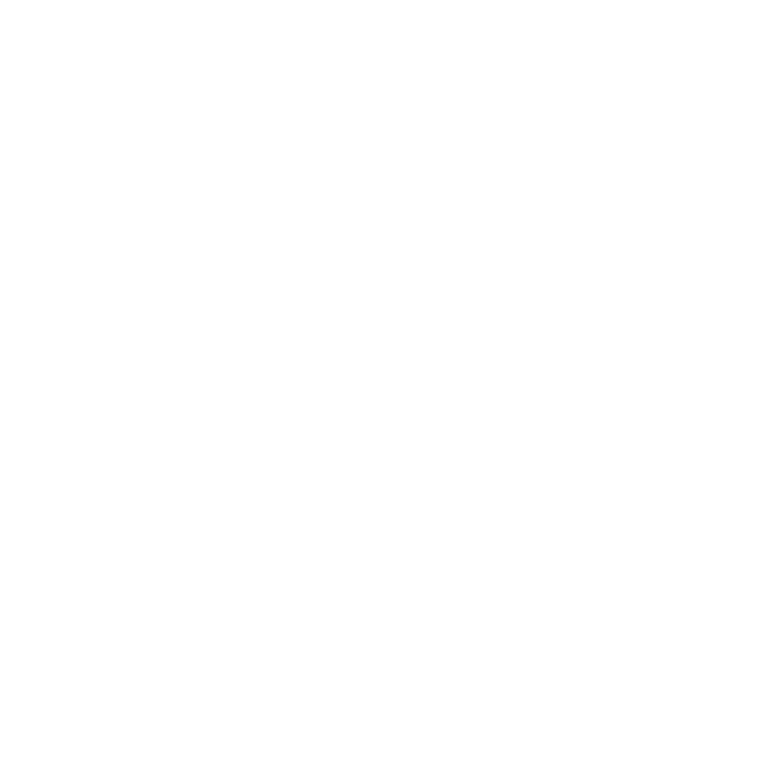 VERVE logo
