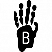 Beachmonkey INC. logo