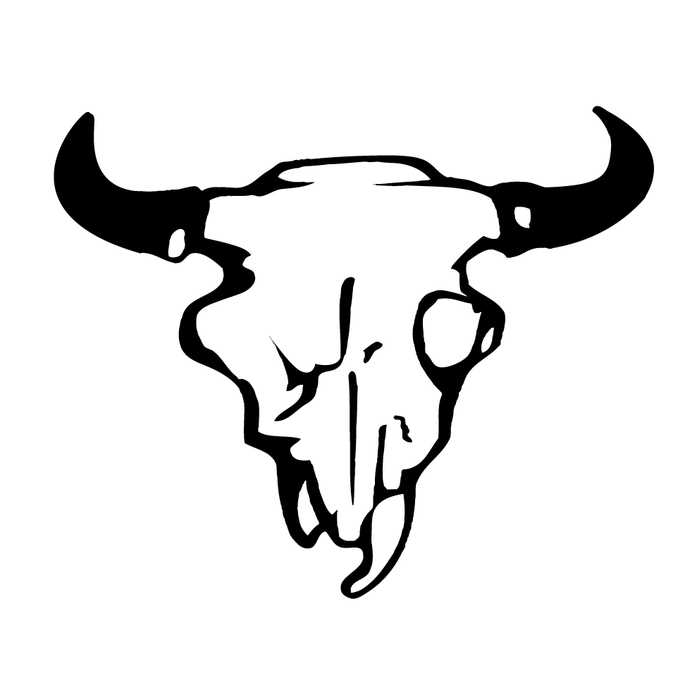 Buffalo Chip Global Inc. logo