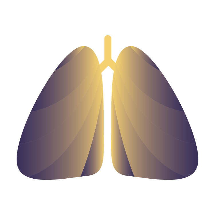 Pneumeric, Inc. logo