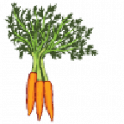 Green Kitchen LLC logo