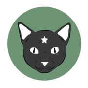Black Cat Market LLC logo