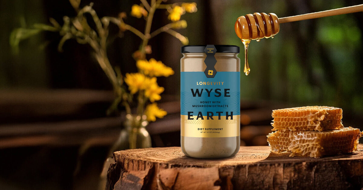 Wyse Earth Solutions logo