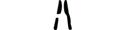Yes Chef App Inc logo