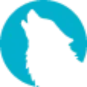 Launch logo