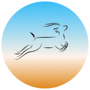 ANTELOPE RECOVERY logo