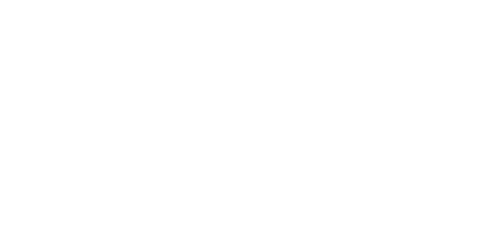 COUNTERDRONE logo