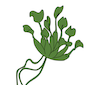 Het Say LLC logo