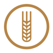 Hops & Grain Production, LLC logo
