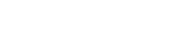 LEVELLER MEDIA, INC. logo