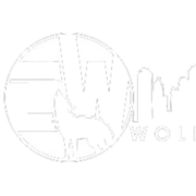 WOLFER FINANCE CORP. logo