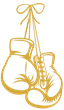 Fan Cruise LLC logo