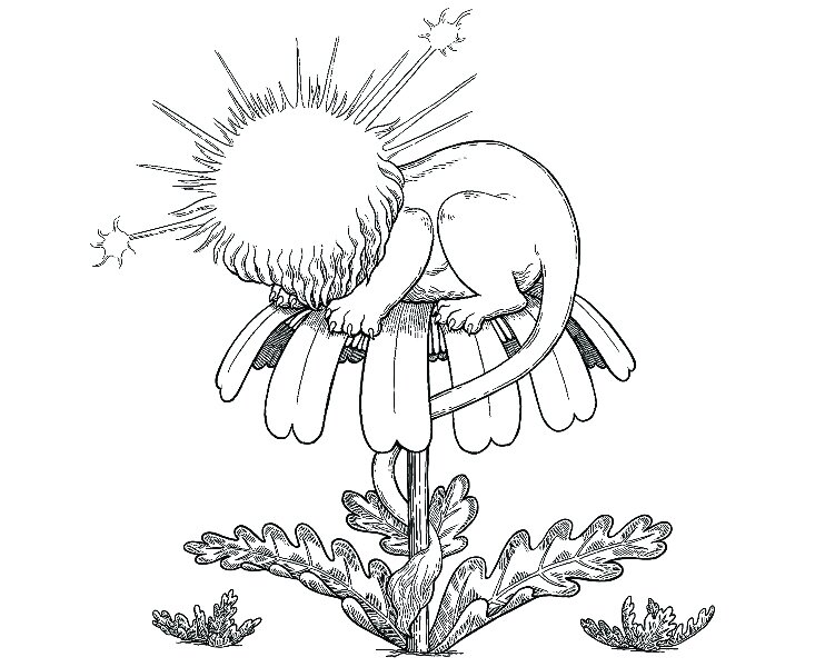 Succession Fermentory LLC logo