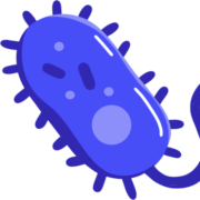Transfoam, LLC logo