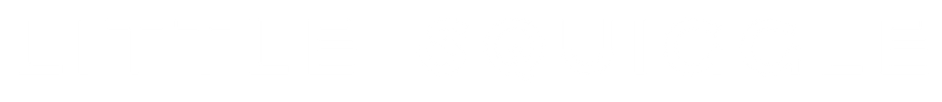 Little Squiggle logo