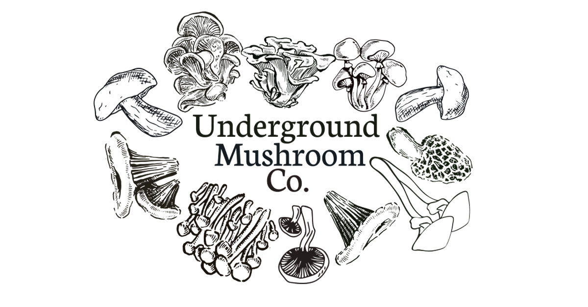 Underground Mushroom Co. logo