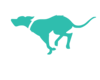 Rollin' Vets Group Inc. logo