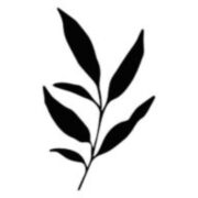 MDABistro LLC logo