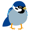 Blue Sparrow LLC logo