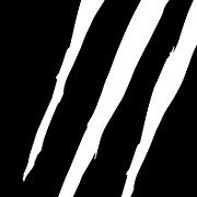 Bear Fight LLC logo