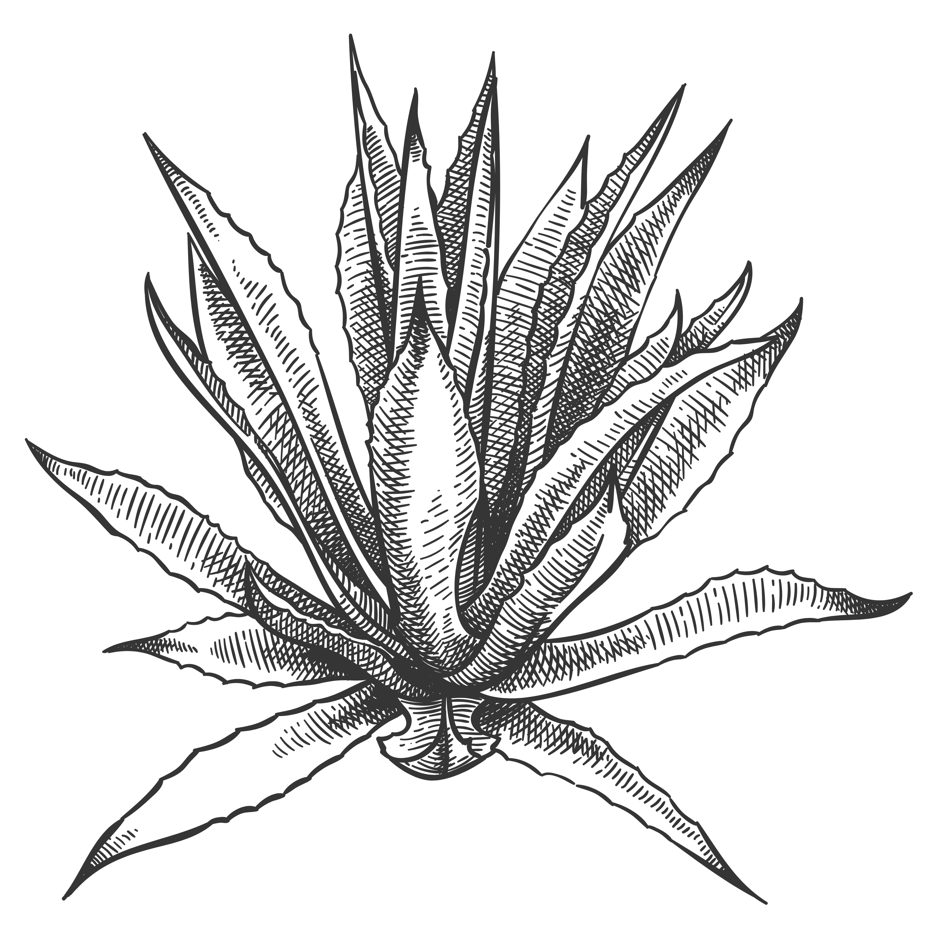 Botanika SLC, LLC logo