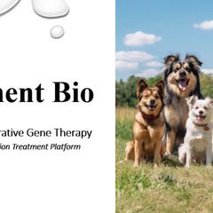 Foment Bio logo