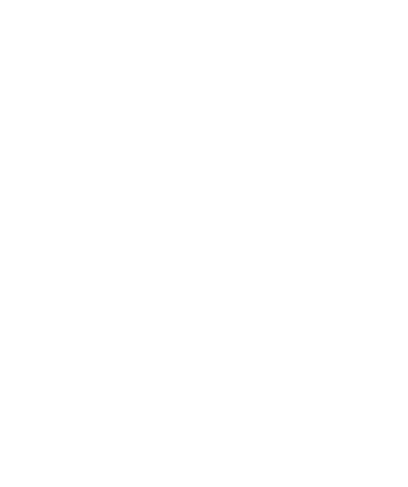 SYNTHESIS logo
