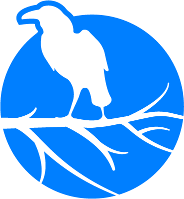 AZURE RAVENS ENTERTAINMENT logo