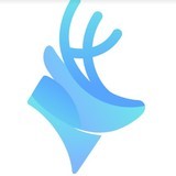 Dashing logo