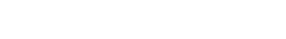 BLUEFLITE INC logo